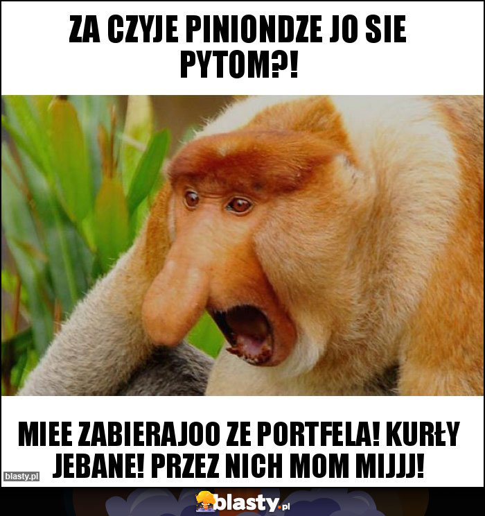 Za czyje piniondze jo sie pytom?!