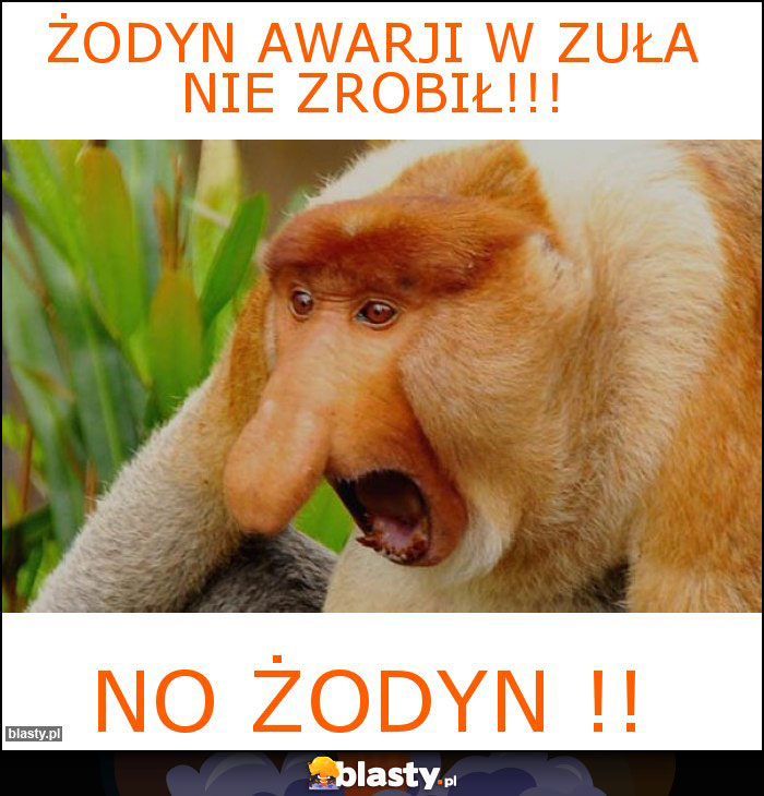 Żodyn awarji w ZUŁA nie zrobił!!!