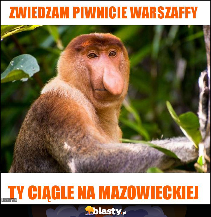 Zwiedzam piwnicie warszaffy