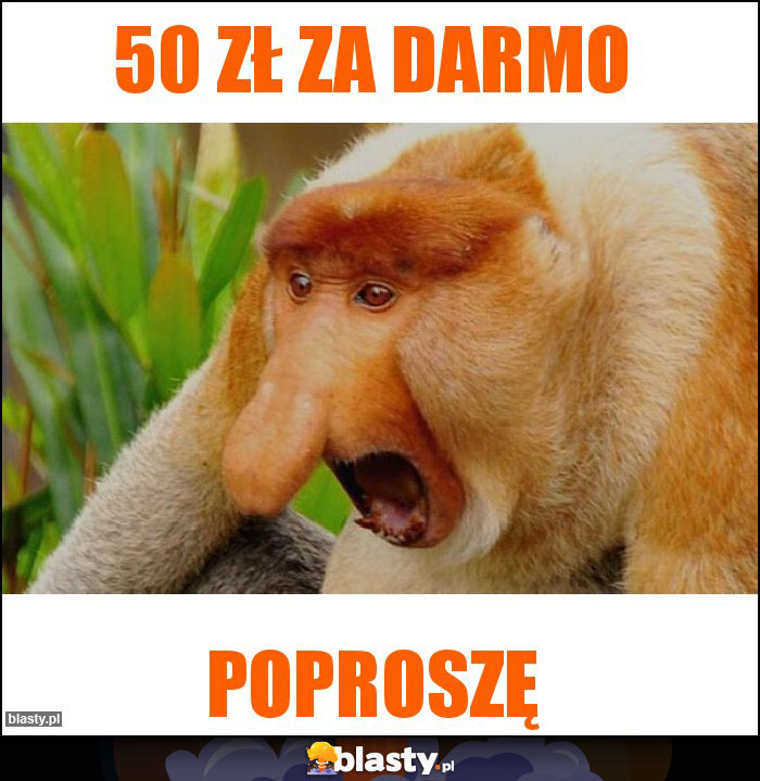 50 zł za darmo