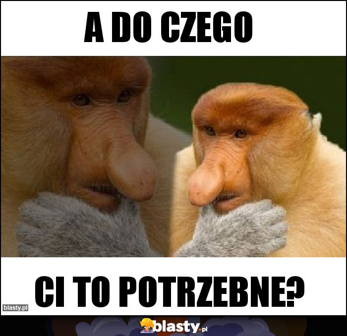 A do czego