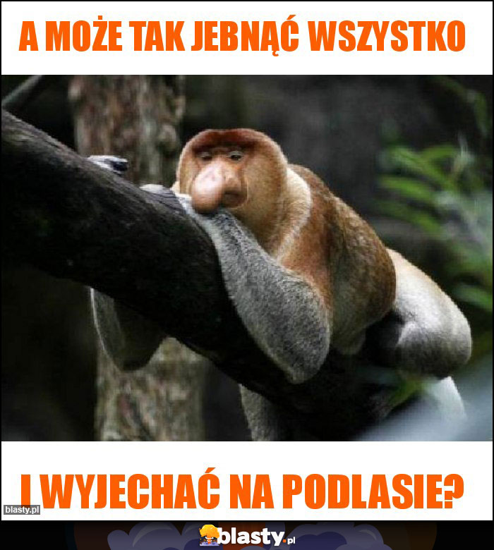 A może tak jebnąć wszystko