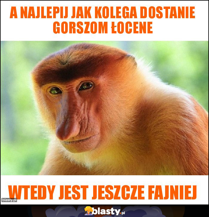 A najlepij jak kolega dostanie gorszom łocene