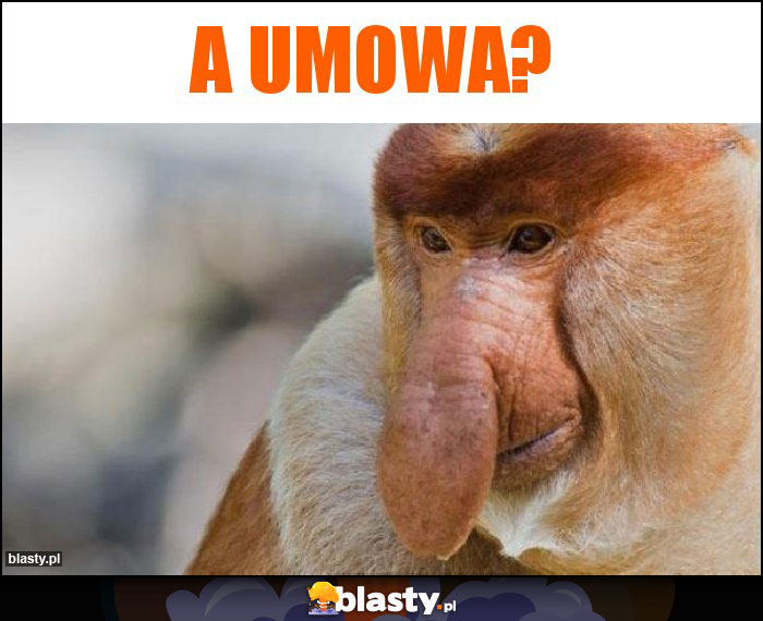 A umowa?