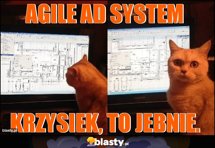 AGILE AD system