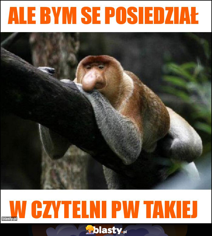 ALE BYM se posiedział