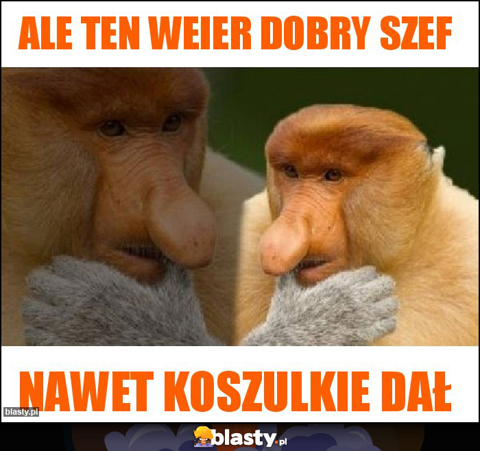 Ale ten weier dobry szef