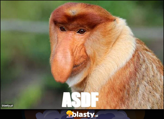 Asdf