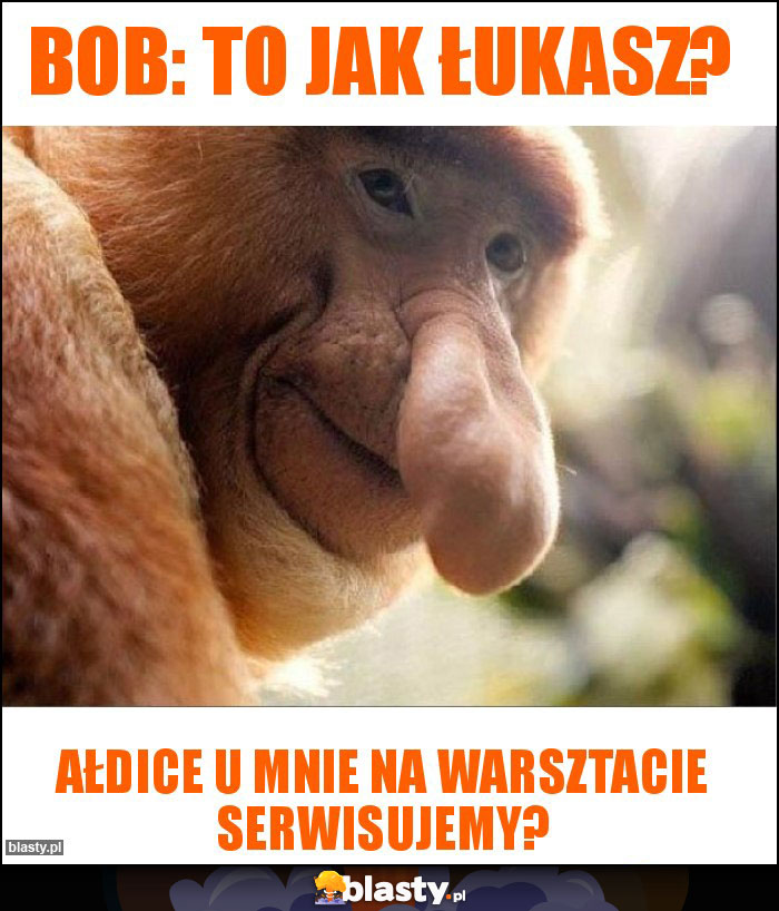 Bob: To jak Łukasz?