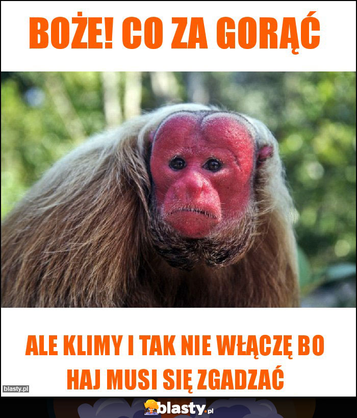 Boże! Co za gorąć