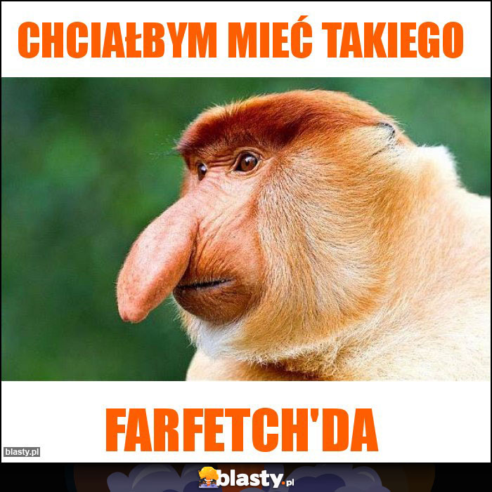 Chciałbym mieć takiego