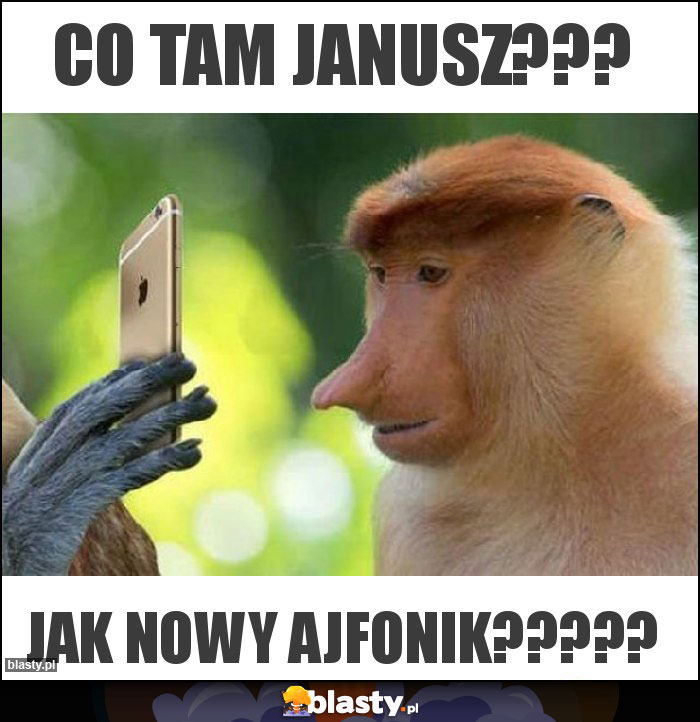 Co tam Janusz???