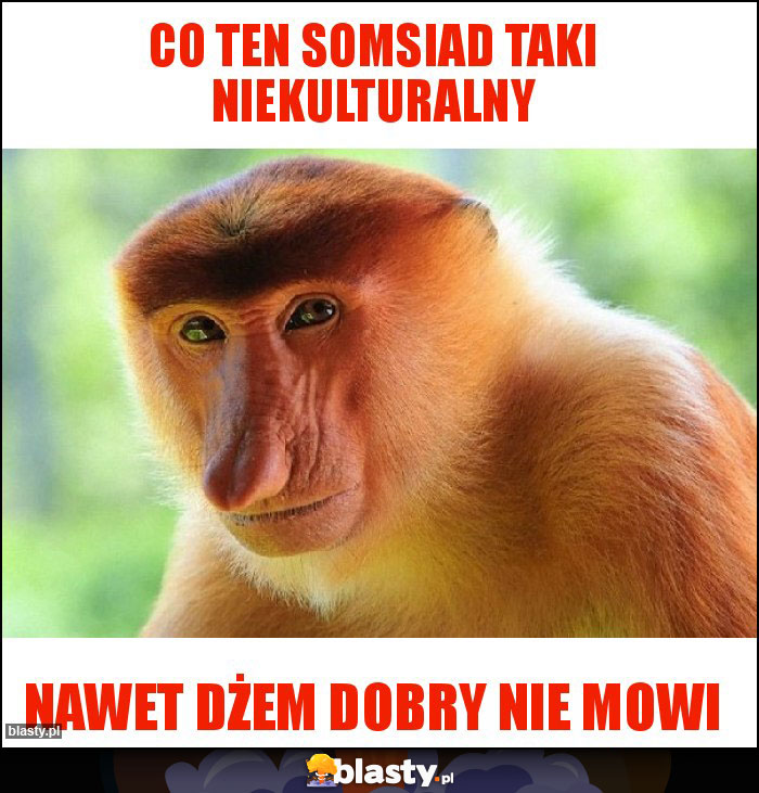 Co ten somsiad taki niekulturalny