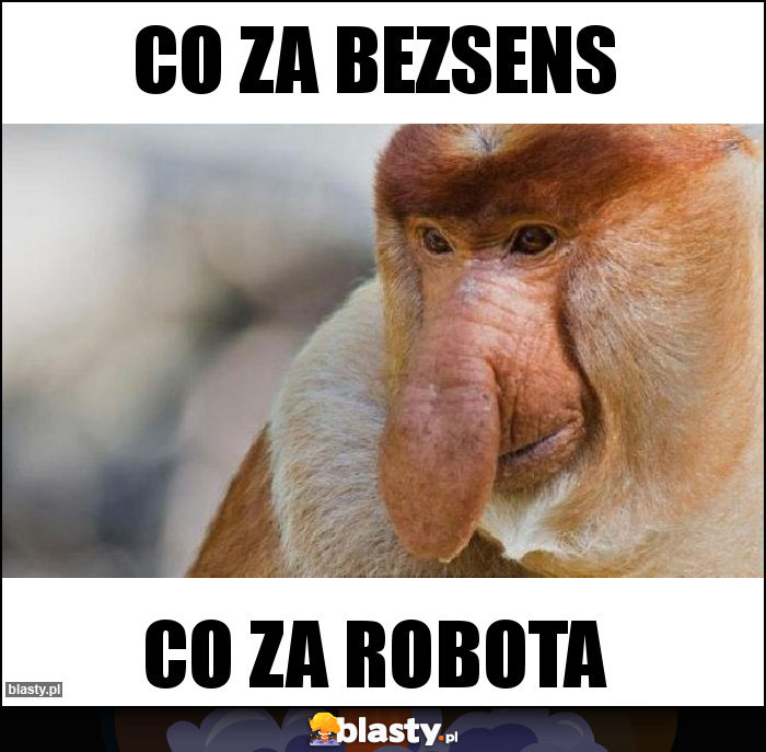 Co za bezsens