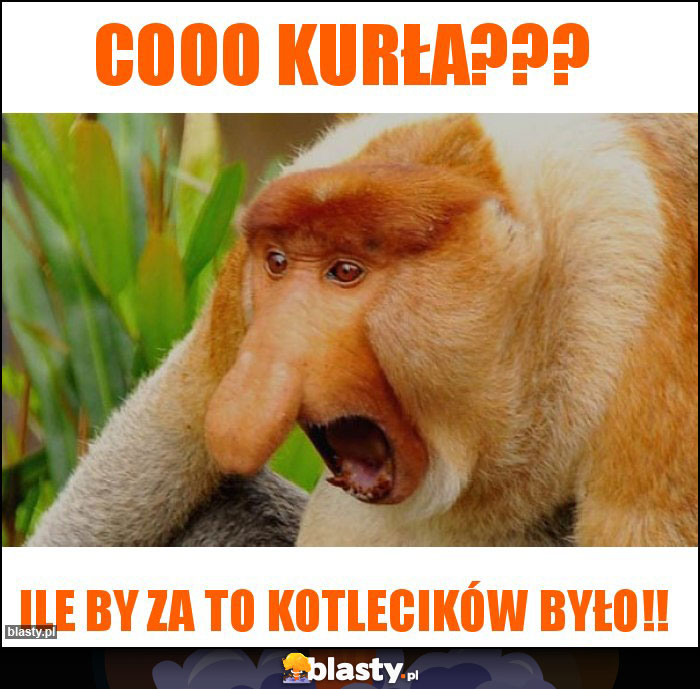 Cooo Kurła???