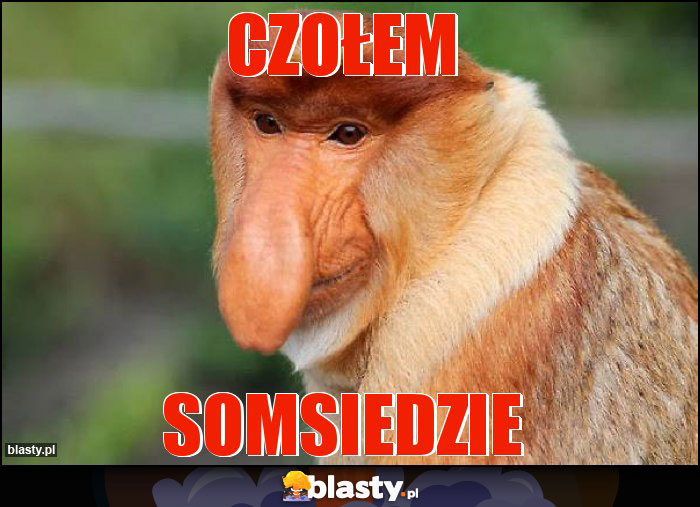 CZOŁEM