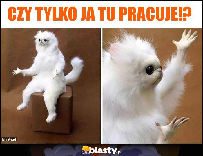 Czy tylko ja tu pracuje!?