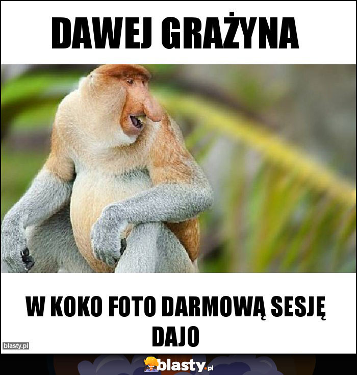 dawej grażyna