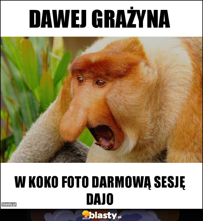 dawej grażyna