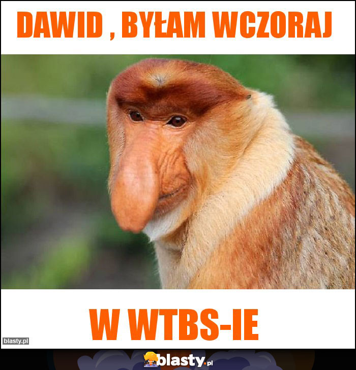 Dawid , byłam wczoraj