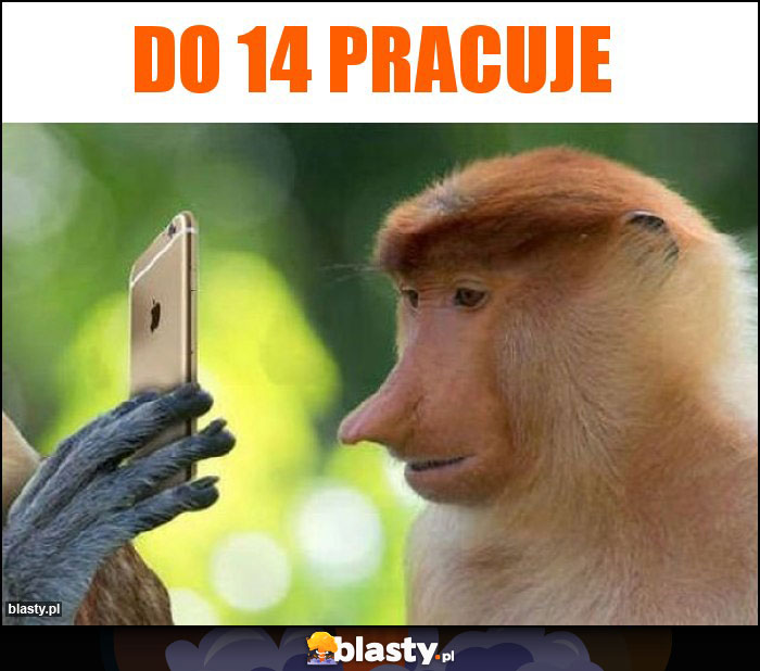 Do 14 pracuje