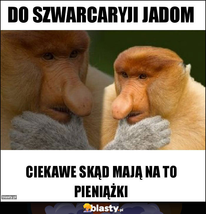 Do szwarcaryji jadom