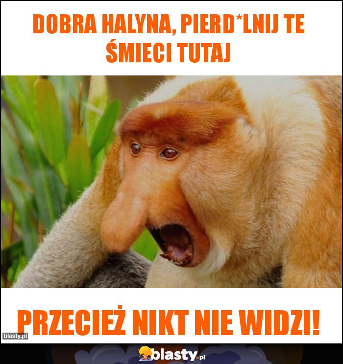 Dobra Halyna, pierd*lnij te śmieci tutaj