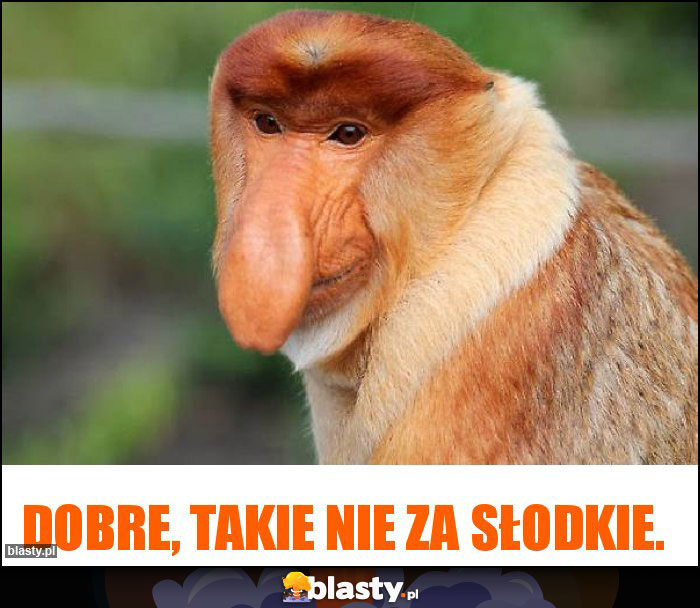 Dobre, takie nie za słodkie.