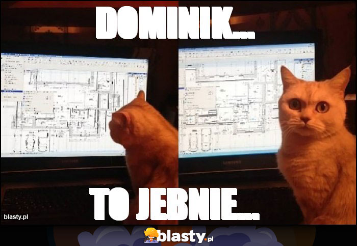 Dominik...