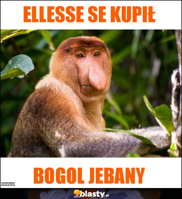 ELLESSE SE KUPIŁ