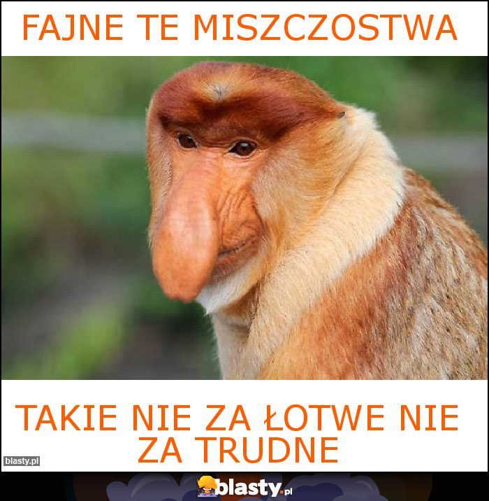 Fajne te miszczostwa