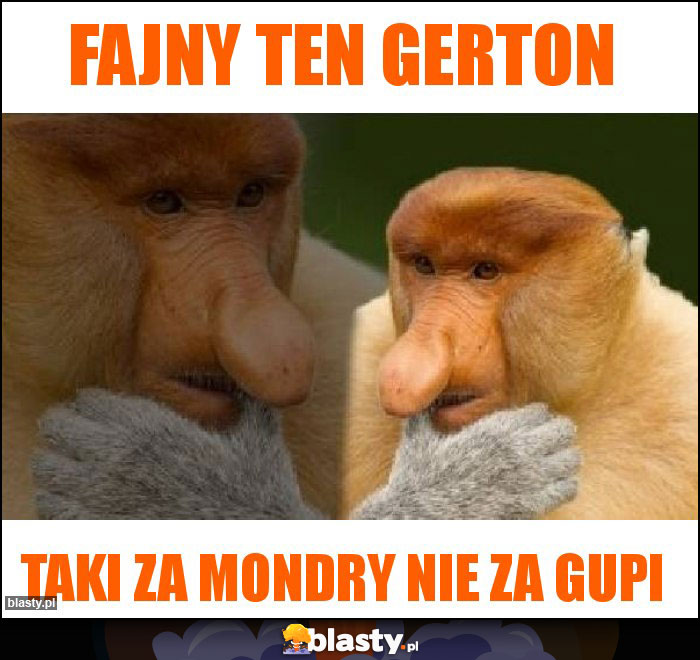 Fajny ten Gerton