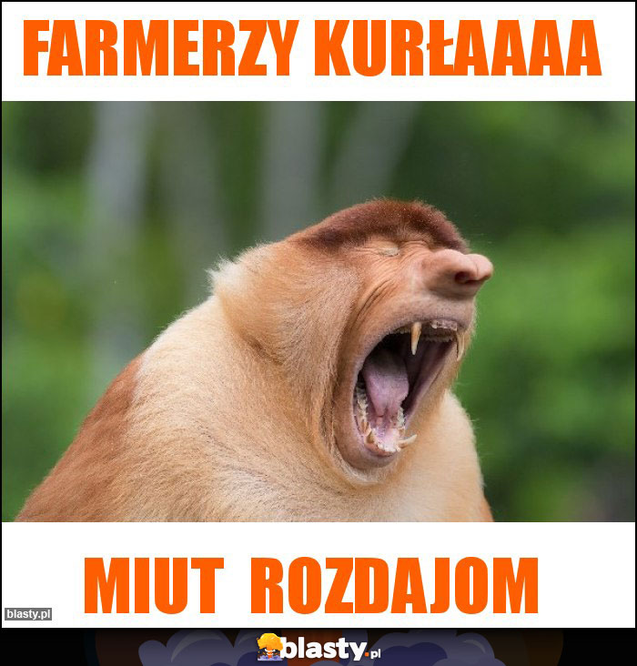 Farmerzy kurłaaaa