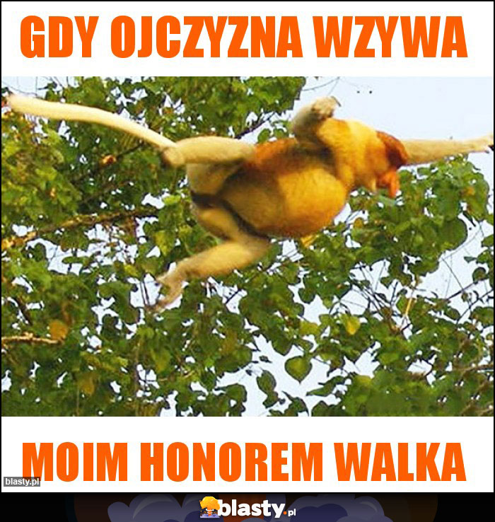 Gdy ojczyzna wzywa