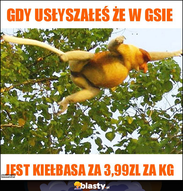 Gdy usłyszałeś że w GSie