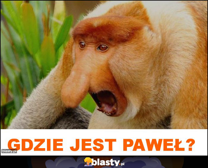 Gdzie jest Paweł?