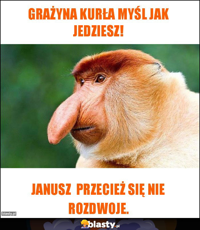 Grażyna kurła myśl jak jedziesz!