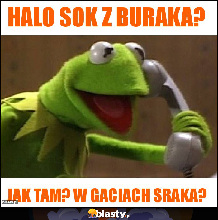 Halo Sok z buraka?