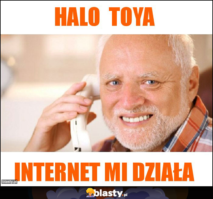 Halo  Toya