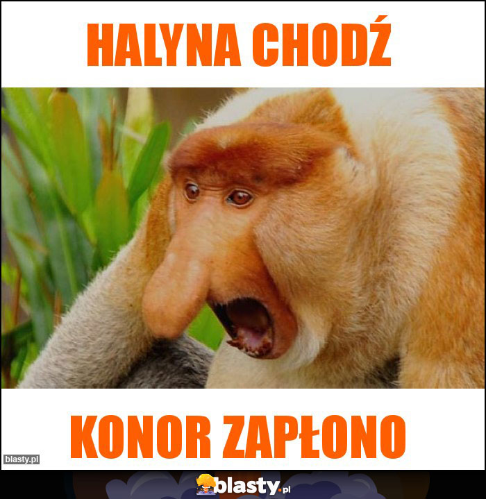 HALYNA CHODŹ