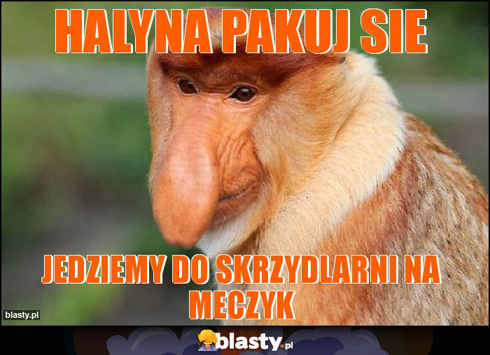 Halyna pakuj sie