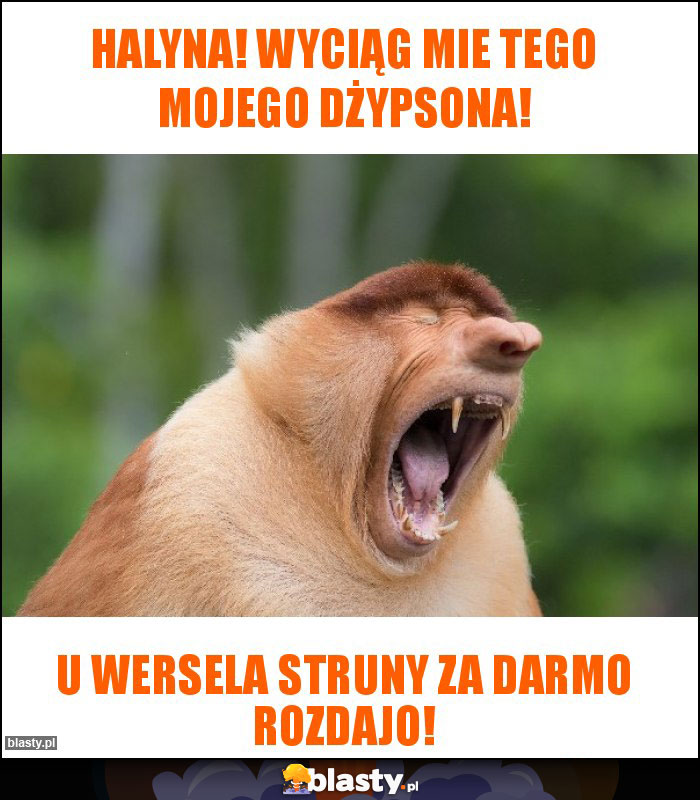 Halyna! Wyciąg mie tego mojego Dżypsona!