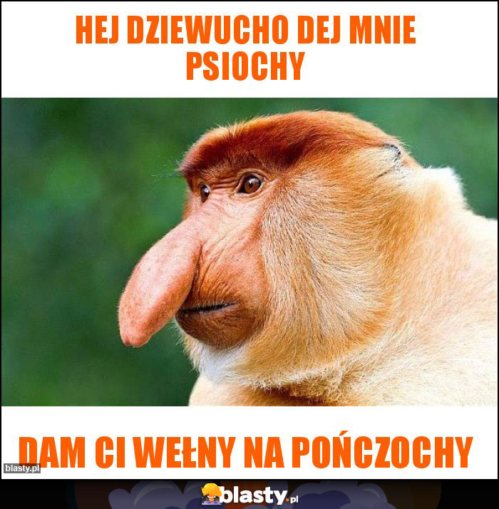 Hej dziewucho dej mnie psiochy