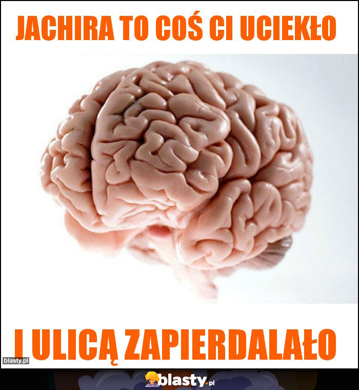 jachira to coś ci uciekło