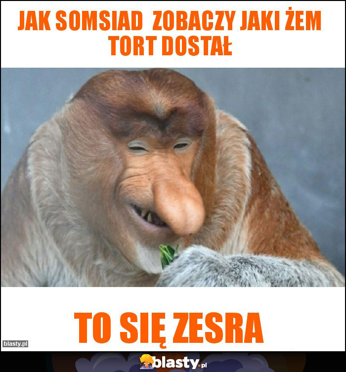 Jak somsiad  zobaczy jaki żem tort dostał