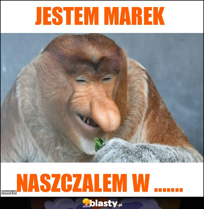 Jestem marek