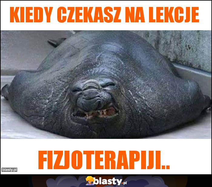 Kiedy czekasz na lekcje