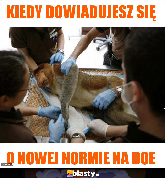 Kiedy dowiadujesz się