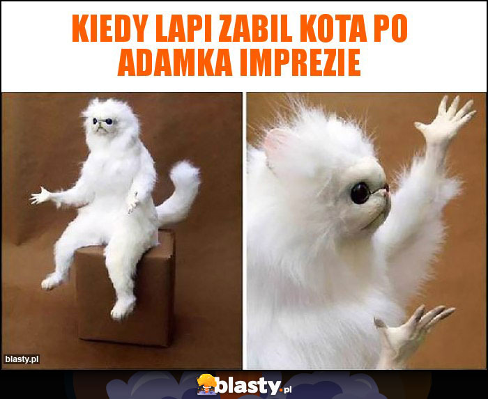 Kiedy Lapi zabil kota po Adamka imprezie