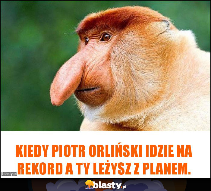 Kiedy Piotr Orliński idzie na rekord a ty leżysz z planem.